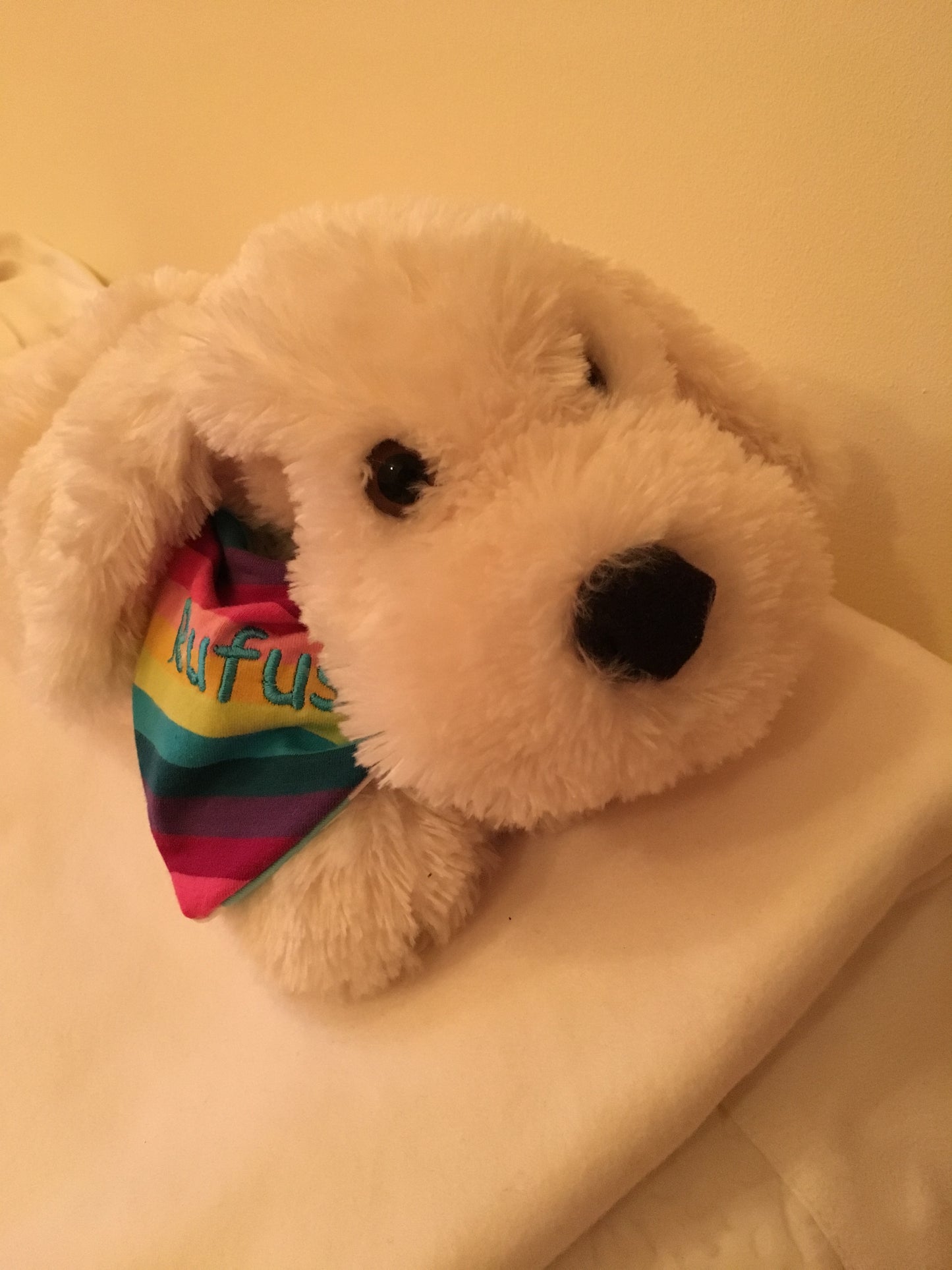 Kuscheltier Rufus mit Biophotonen